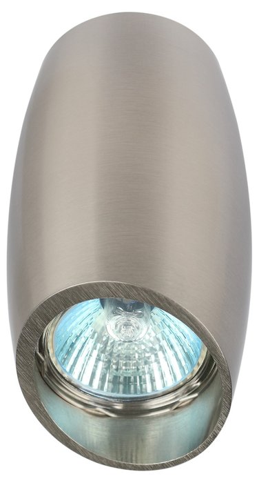 Накладной светильник OL20 Б0054391 (алюминий, цвет никель)