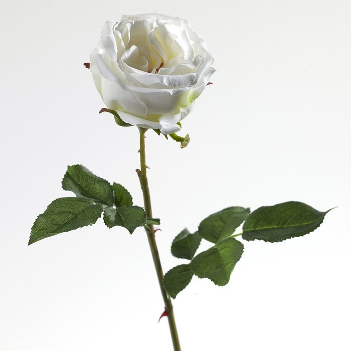 Декор Роза