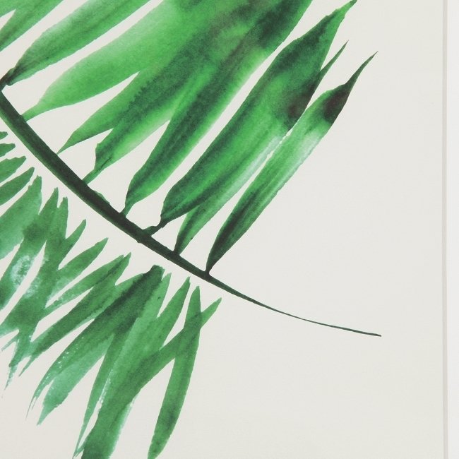 Постер Palm 1 с изображением пальмового листа в раме  - купить Картины по цене 4429.0