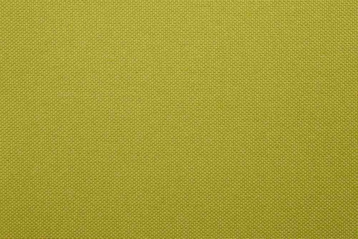 Рулонная штора Миниролл Плайн зеленого цвета 90x160 - лучшие Шторы в INMYROOM