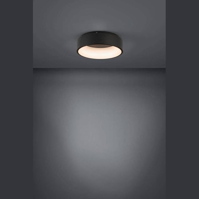 Светильник потолочный Marghera черно-белого цвета - купить Потолочные светильники по цене 31990.0