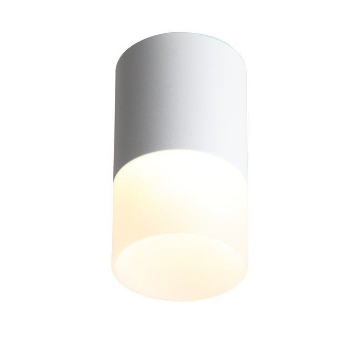 Светильник потолочный Белый LED 1*10W 4000K 780Lm Ra&gt;80 120° D78xH135 170-240V OTTU - купить Потолочные светильники по цене 1295.0