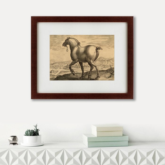 Картина A Saxon Horse 1575 г.