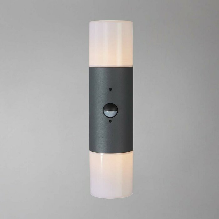 Уличный настенный светильник Escada 534/2A - купить Настенные уличные светильники по цене 5280.0
