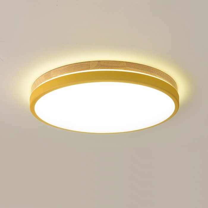 Потолочный светильник Disc DH D38 белого цвета - купить Потолочные светильники по цене 17530.0