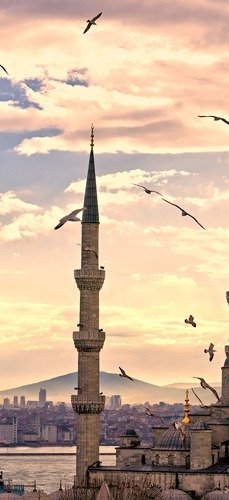 Интерьерная модульная картина на стену "Птицы над мечетью" - лучшие Принты в INMYROOM