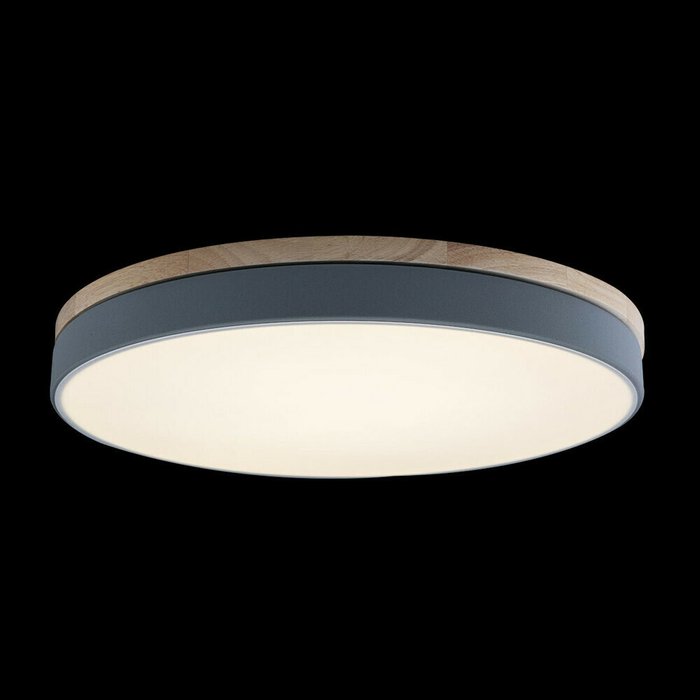 Потолочный светодиодный светильник Loft IT Axel 10001/36 grey - лучшие Потолочные светильники в INMYROOM