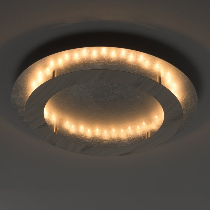 Потолочный светодиодный светильник Иланг цвета серебра - купить Потолочные светильники по цене 5420.0