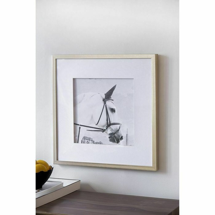 Набор из двух картин Лошади 56х56 белого цвета - лучшие Картины в INMYROOM