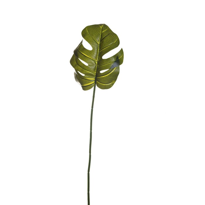  Лист филодендрона перегородчатого  - купить Декоративные цветы по цене 36.0