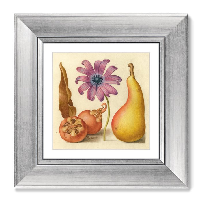 Набор из двух репродукций картин English Walnut and Sweet Cherry, 1561г.  - купить Картины по цене 14998.0