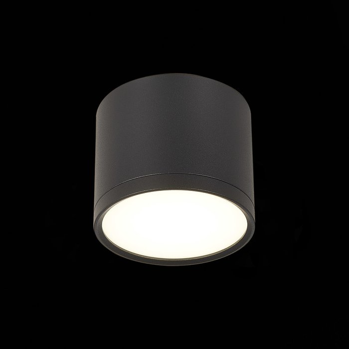 Светильник потолочный Rene черного цвета - лучшие Потолочные светильники в INMYROOM