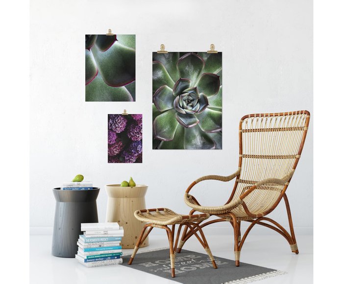 Панно Botanic printed на фотобумаге - лучшие Декор стен в INMYROOM