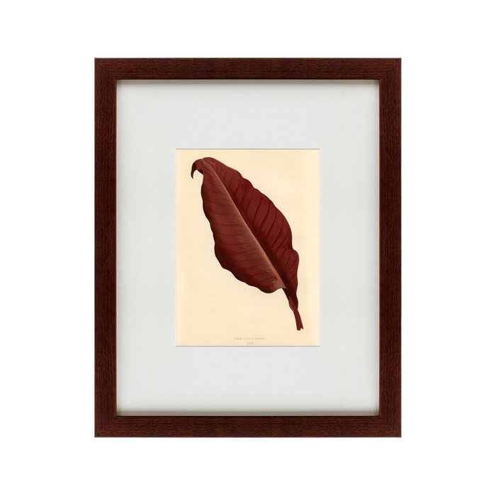 Картина The dark red leaf 1881 г. - купить Картины по цене 4990.0