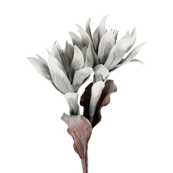 Искусственное растение Molave белого цвета - купить Декоративные цветы по цене 2690.0
