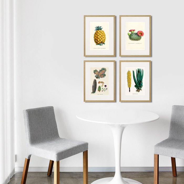 Копия старинной литографии Botany illustration №1 1836 г. - лучшие Картины в INMYROOM Копия старинной литографии Botany illustration №1 1836 г. - лучшие Картины в INMYROOM