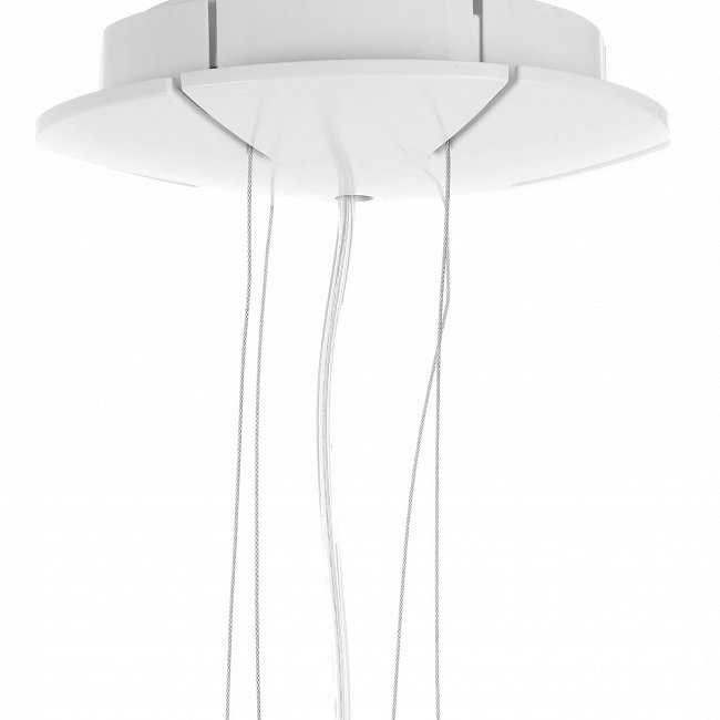 Подвесной светильник Hydrangea  - лучшие Подвесные люстры в INMYROOM