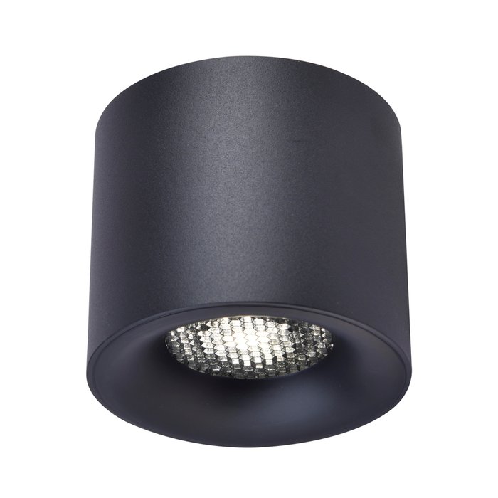 Светильник потолочный черный LED 1*10W 3000K 530Lm Ra 36° IP20 D80xH70 170-240VV Накладные светильники Светильник потолочный черный LED 1*10W 3000K 530Lm Ra 36° IP20 D80xH70 170-240VV Накладные светильники