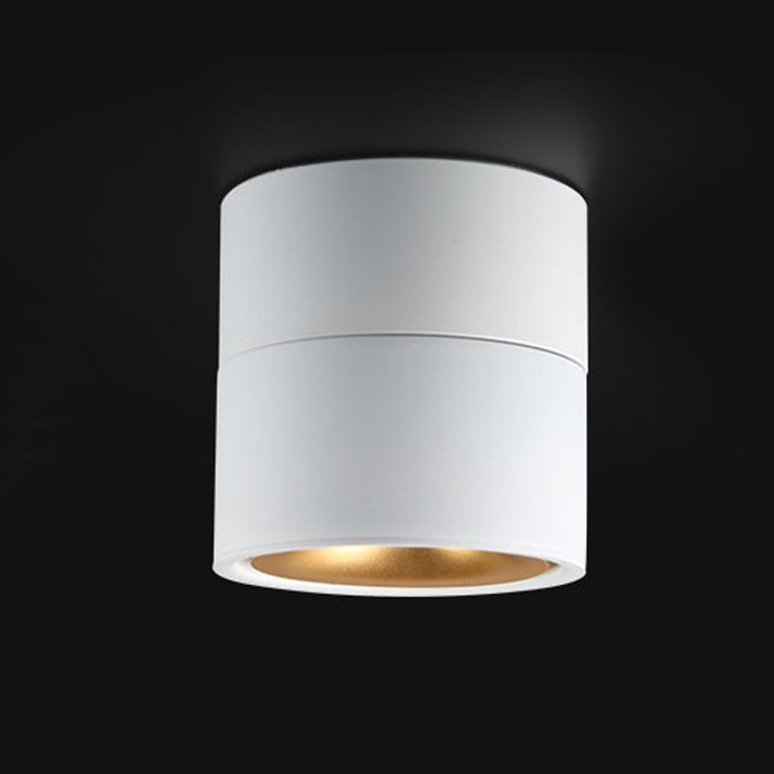 Потолочный светильник AGENDA White+Gold 10W фото не подходит - купить Накладные споты по цене 8320.0