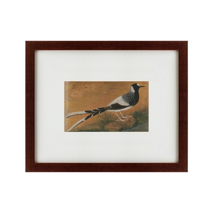 Картина The Gray bird Индия 1610 г. - купить Картины по цене 4990.0