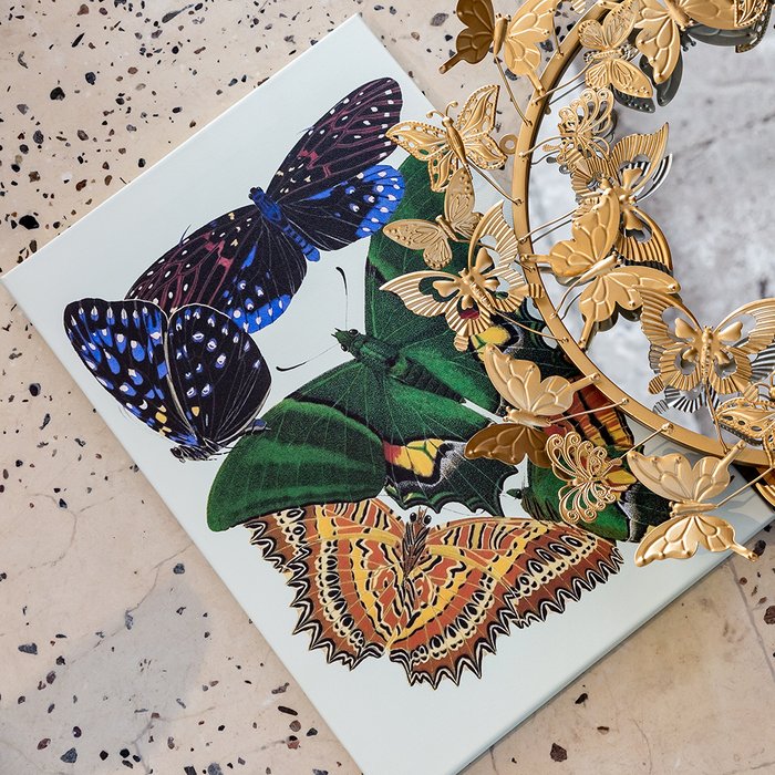 Картина Бабочки мира, версия 6 - купить Картины по цене 4500.0