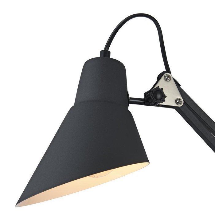 Настольная лампа Maytoni Zeppo - купить Рабочие лампы по цене 3200.0