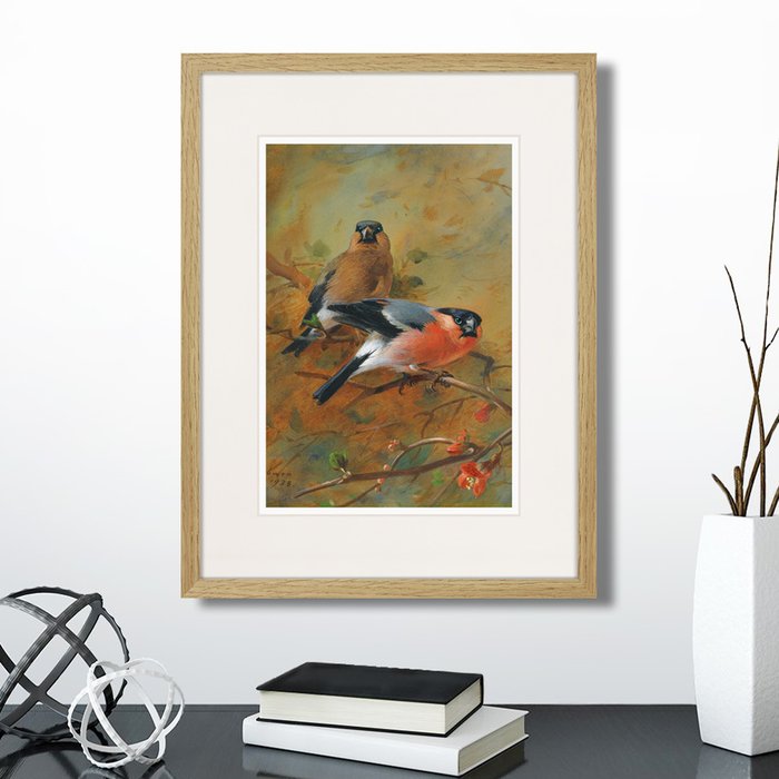 Набор из четырех картин Bullfinches в деревянной раме  - лучшие Картины в INMYROOM