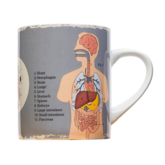 Кружка 'Anatomical'  Organs Кружка 'Anatomical'  Organs