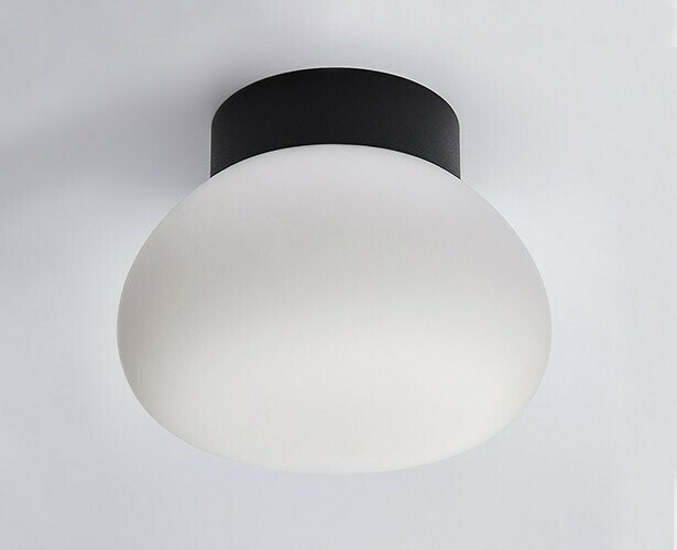 Настенно-потолочный светильник DL 3030 black (стекло, цвет белый)