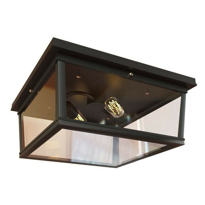 Потолочный светильник Loft IT Loft3  - лучшие Потолочные светильники в INMYROOM