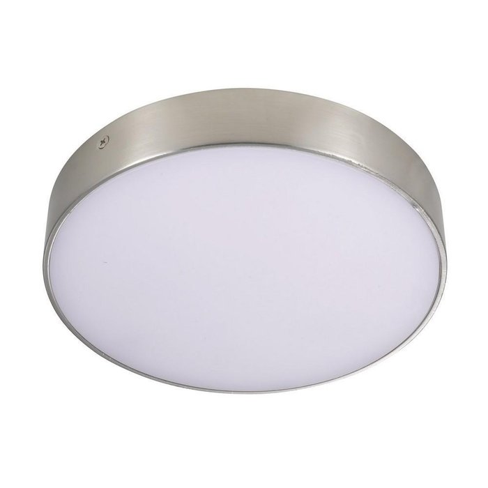 Потолочный светодиодный светильник Aployt Evon APL.0114.19.24 - купить Потолочные светильники по цене 4100.0