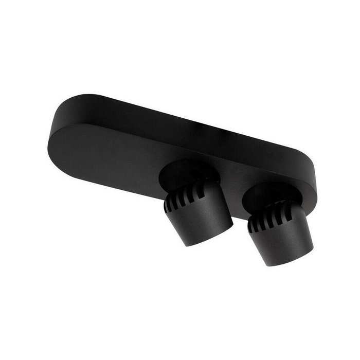 Светильник точечный Loft It Quiet 10320/2 Black - купить Накладные споты по цене 4239.0