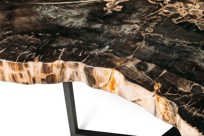 Журнальный стол Бинтау из окаменелого дерева 381088 - лучшие Журнальные столики в INMYROOM