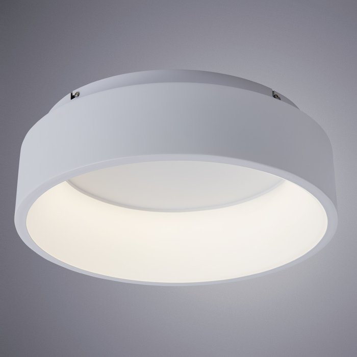 Потолочный светодиодный светильник белого цвета - купить Потолочные светильники по цене 15550.0