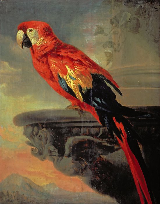 Репродукция картины на холсте Попугай 