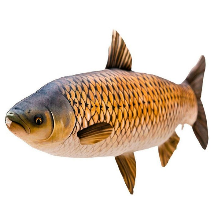 GABY The Grass Carp Medium подушка - лучшие Декоративные подушки в INMYROOM GABY The Grass Carp Medium подушка - лучшие Декоративные подушки в INMYROOM