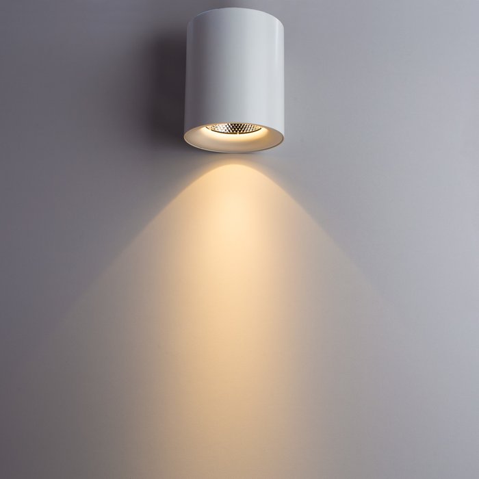 Потолочный светодиодный светильник Facile белого цвета - лучшие Потолочные светильники в INMYROOM