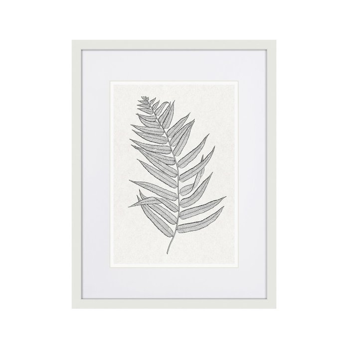 Репродукция картины The fern collection №4 - купить Картины по цене 2995.0