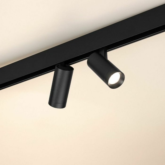 Трековый магнитный светильник Arlight MAG-ORIENT-SPOT-R45-12W Warm2700 049988 - купить Трековые светильники по цене 6787.0 Трековый магнитный светильник Arlight MAG-ORIENT-SPOT-R45-12W Warm2700 049988 - купить Трековые светильники по цене 6787.0