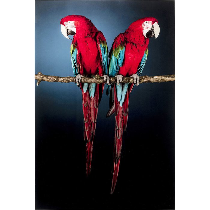 Принт Parrots 80х120 красно-синего цвета