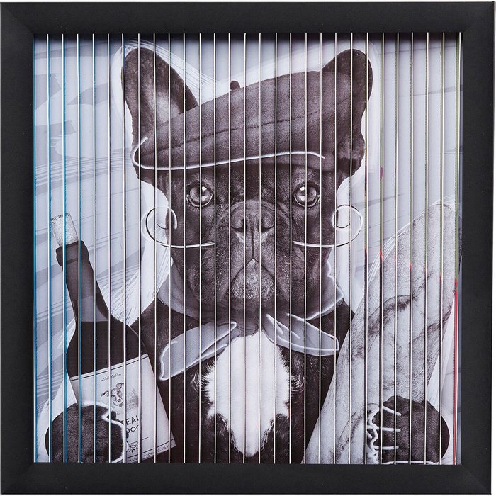 Картина Bulldog 43х43 в рамке черного цвета Картина Bulldog 43х43 в рамке черного цвета