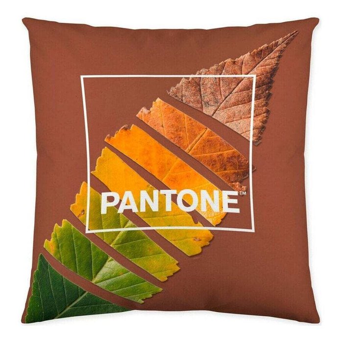 Наволочки Чехол для Leaf Pantone Localization-B086JQ6G5Z Двухсторонний 50 x 50 см - купить Наволочки по цене 1715 Наволочки Чехол для Leaf Pantone Localization-B086JQ6G5Z Двухсторонний 50 x 50 см - купить Наволочки по цене 1715