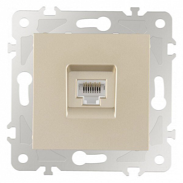Розетка Ethernet RJ-45 без рамки 203.45-1.shampan Розетка Ethernet RJ-45 без рамки 203.45-1.shampan
