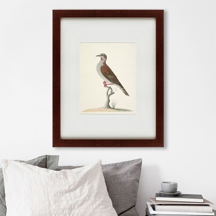 Картина The brown bird  - лучшие Картины в INMYROOM
