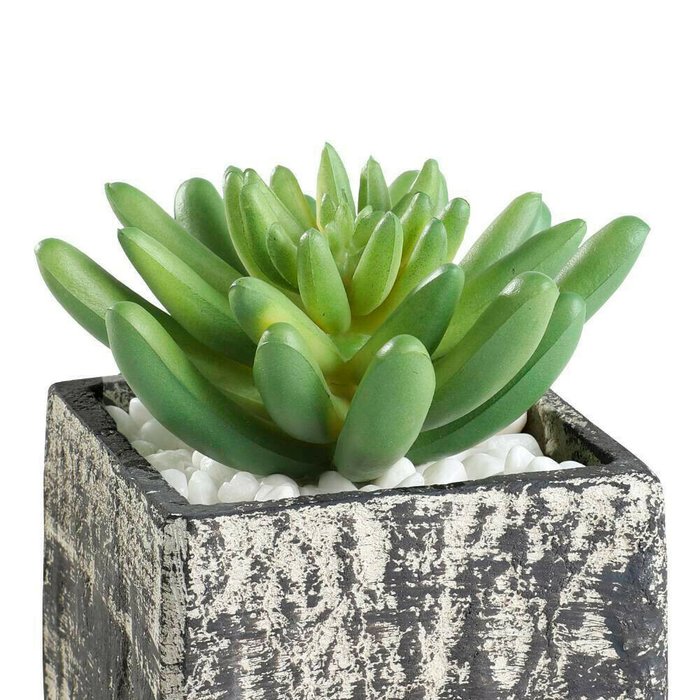 Искусственное растение Chitose зеленого цвета - купить Декоративные цветы по цене 1090.0