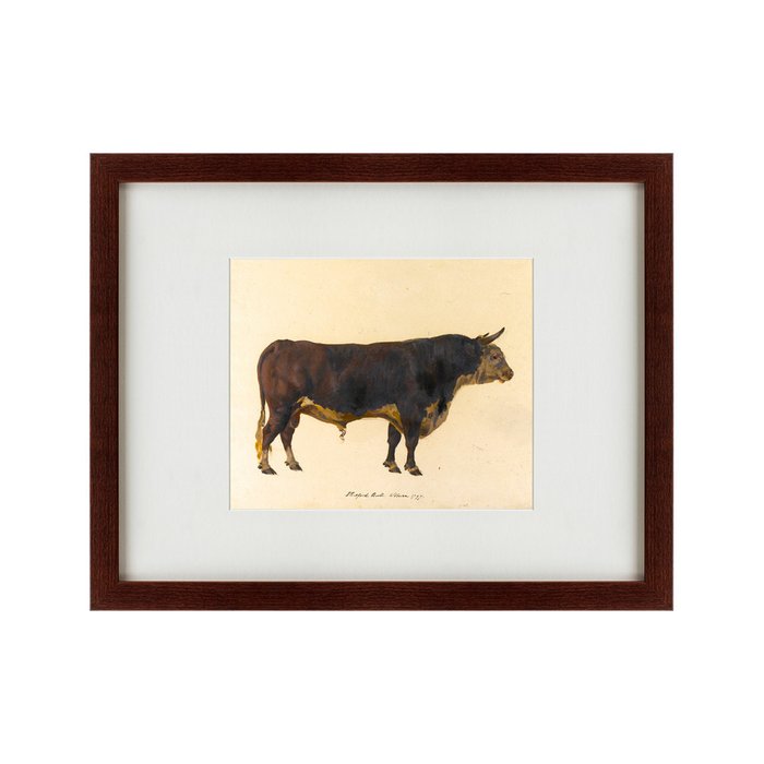 Картина The bull 1797 г. - купить Картины по цене 5995.0