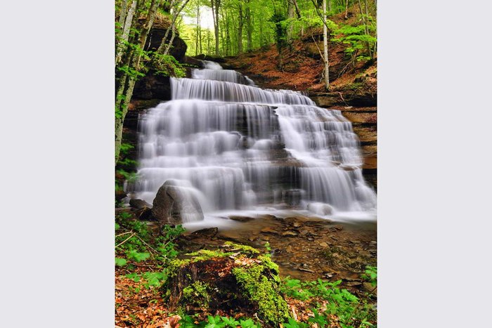 Репродукция Waterfall