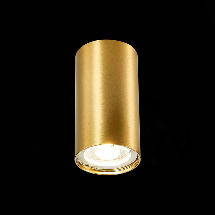 Светильник потолочный золотистого цвета - лучшие Потолочные светильники в INMYROOM