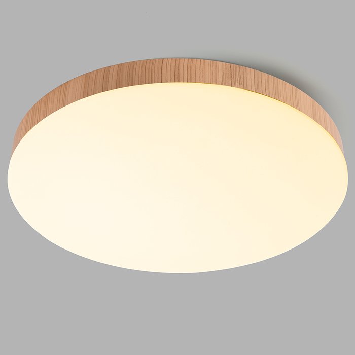 Потолочный светильник AL1600 51110 (акрил, цвет белый) - лучшие Потолочные светильники в INMYROOM