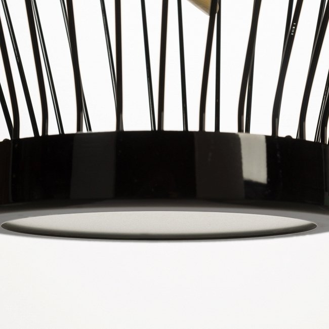 Подвесной светильник Little Bird черного цвета - лучшие Подвесные светильники в INMYROOM